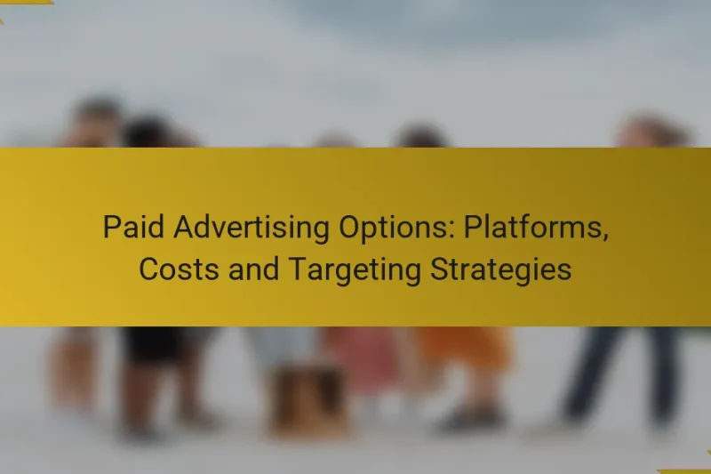 Paid Advertising Options: Platforms, Costs and Targeting Strategies