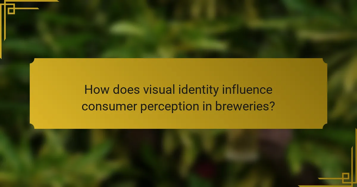How does visual identity influence consumer perception in breweries?