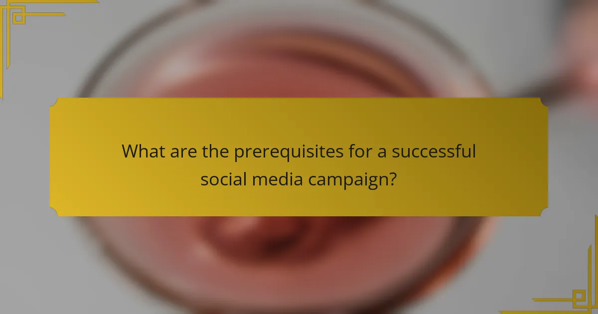 What are the prerequisites for a successful social media campaign?