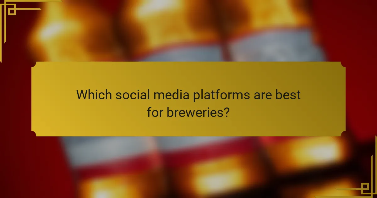 Which social media platforms are best for breweries?